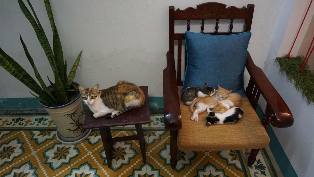 Nha Homestay Дананг Экстерьер фото